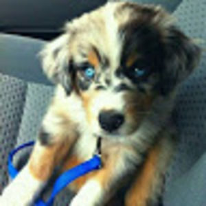 Meet your Posher, Haylee